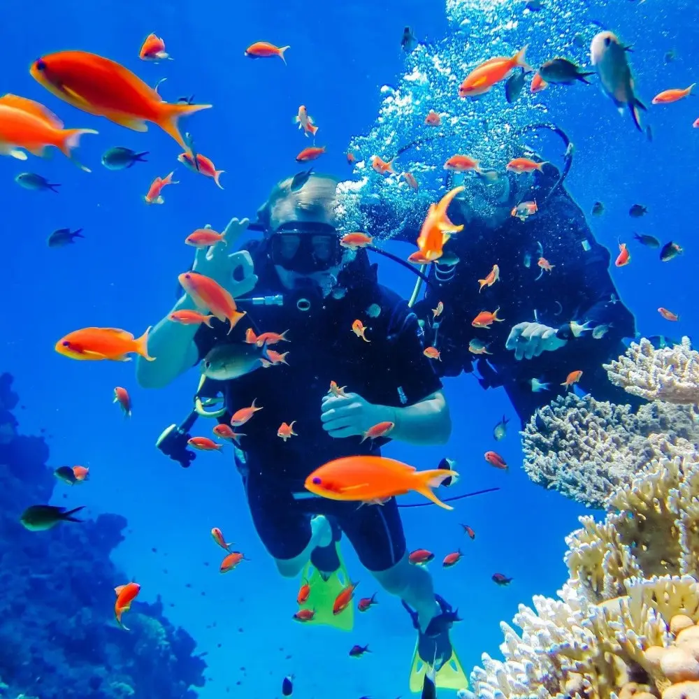 Sharm El Sheikh Turu
